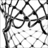 Day 21

The net nextdoor.